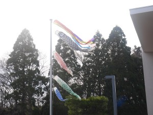 P1010006 - コピー