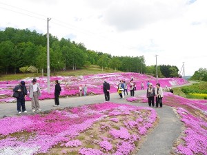 P1030346 - コピー