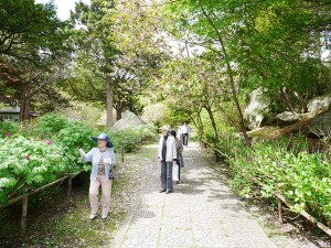 P1030406 - コピー