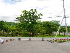 P1030570 - コピー
